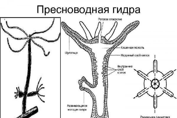 Кракен сайт официальный onion