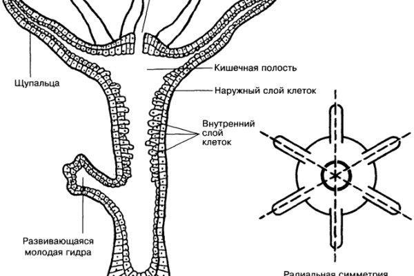 Кракен сайт kraken2